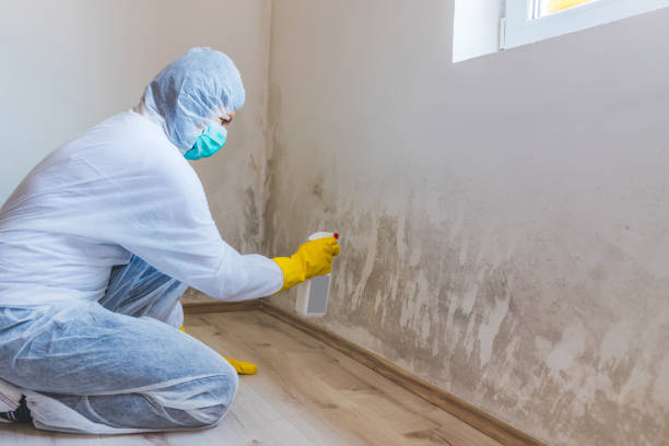 Mold Remediation specialist working in Mount Juliet