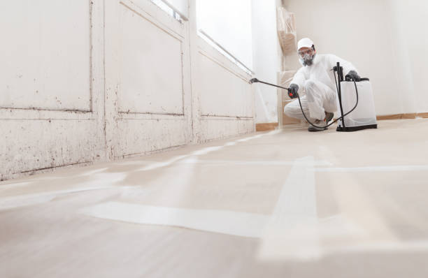Black mold remediation team in Mount Juliet